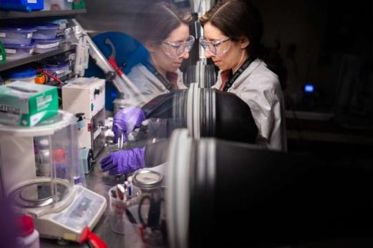 利用微波升级再利用旧锂离子电池正极材料的新工艺