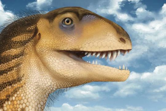 新墨西哥发现晚三叠纪新种肉食性恐龙