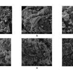 用虾壳废料“清洁”混凝土：助力可持续建筑的新型地质聚合物