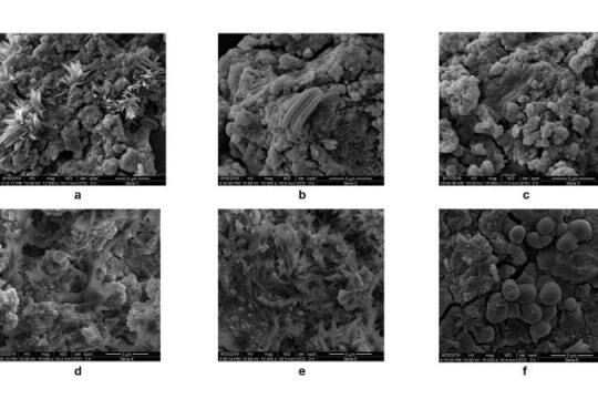 用虾壳废料“清洁”混凝土：助力可持续建筑的新型地质聚合物