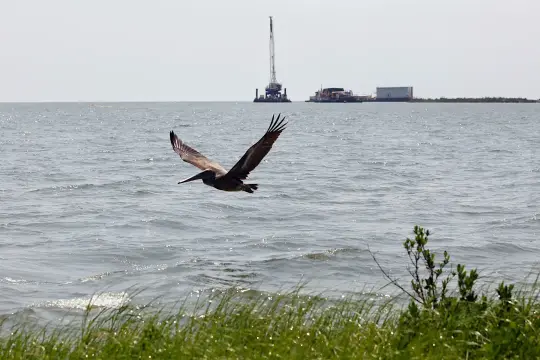 德州管道公司因墨西哥湾漏油被处创纪录960万美元罚款