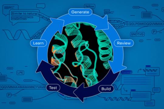将人工智能驱动的蛋白质设计工具普及到全球生物学家手中