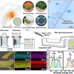 “无泵无电池”可穿戴半导体织物：用汗液实时监测健康