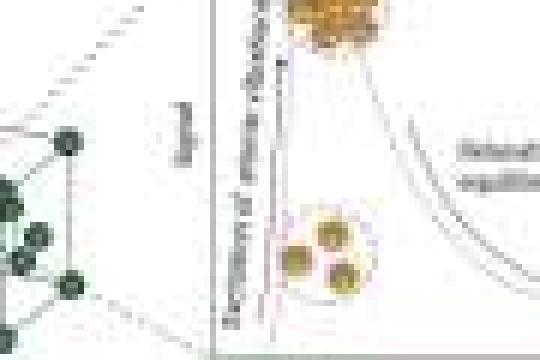 超快光谱技术追踪锗半导体中能量逐级传递路径