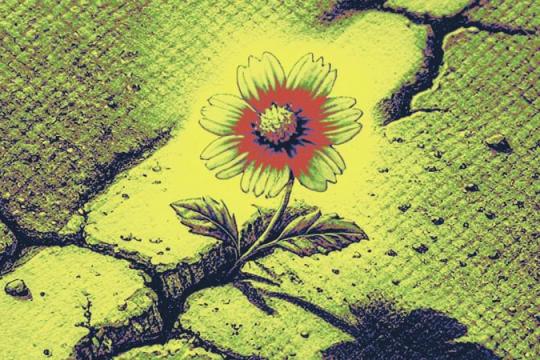 地方政府探索利用具代理性人工智能优化城市治理