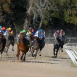 人工神经网络成功模拟四足动物多种步态切换