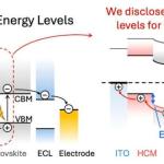 通用界面模型为钙钛矿太阳能电池设定新标准