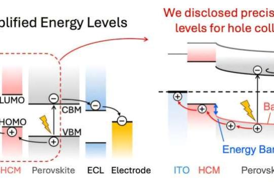 通用界面模型为钙钛矿太阳能电池设定新标准