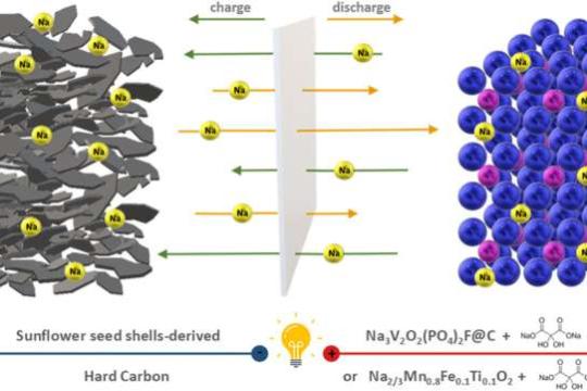 向日葵籽壳变身电池材料：用生物质打造可充电电池