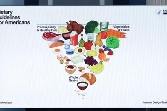 营养师解读新版食物金字塔的优缺点