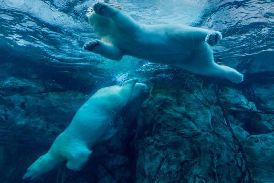 日本国债收益率急升引发市场波动，比特币跌破9.1万美元