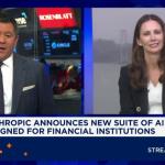 Anthropic CEO称AI暴露数万软件漏洞 警示网络安全“危险时刻”