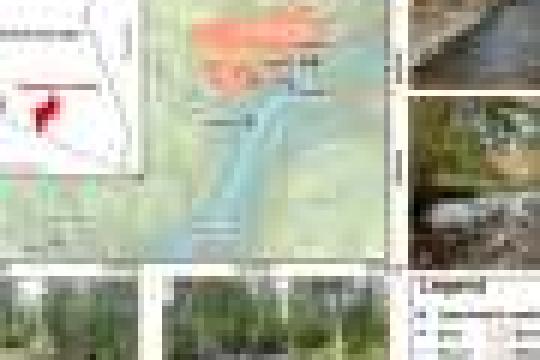 研究：野火或短期抬升干旱季溪流流量，关键在于水源时间与路径改变