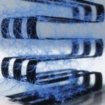 普林斯顿团队打造三维活体脑细胞计算设备