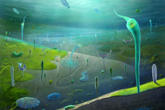 中国晚埃迪卡拉纪“江川生物群”化石揭示动物多样化更早开启