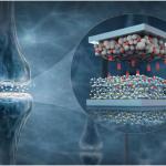 利用氢离子实现学习与记忆的两端子AI半导体问世