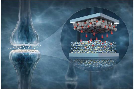 利用氢离子实现学习与记忆的两端子AI半导体问世