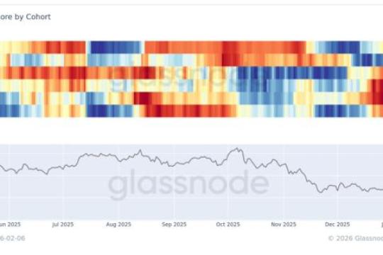 剧烈抛售后比特币出现广泛积累迹象