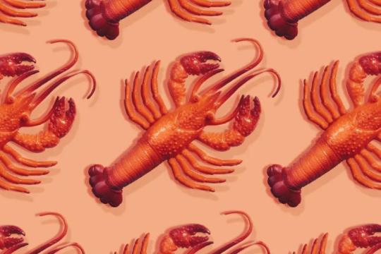 个人AI助手Moltbot走红：从个人项目到“能真正做事”的开源代理