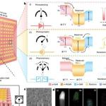 微型多功能P-N二极管为图像传感器缩小铺路