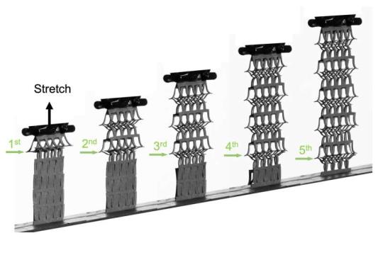 磁性调控让软质超材料的随机弹跳变成可控序列