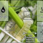 可堆肥软体机器人：高性能使用超百万次后化作植物养料