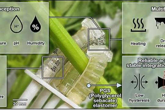 可堆肥软体机器人：高性能使用超百万次后化作植物养料
