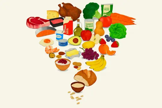 特朗普政府发布新版倒置食物金字塔 推出“真实食物”营养指南