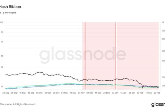 历史性矿工放弃期或将结束，指标显示比特币或接近阶段性底部