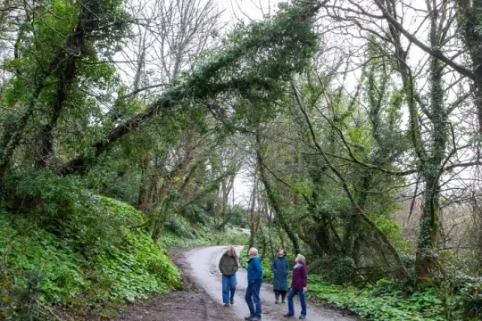 风暴戈雷蒂后康沃尔多地宽带久未修复 政界呼吁增加基础设施韧性资金