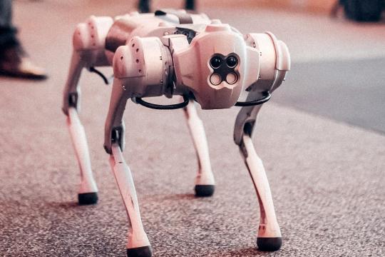 中国研究借鉴鹰与郊狼等捕食行为训练军事人工智能系统