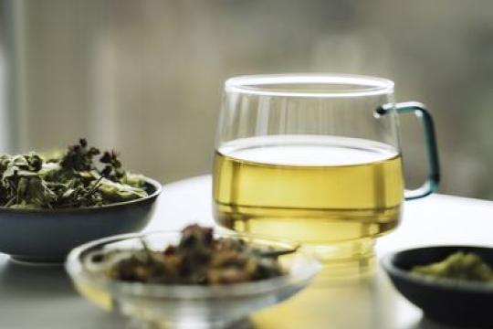 绿茶与维生素B3联合使用有望改善大脑健康