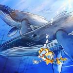 Hyperliquid现5300万美元比特币空头仓位 交易情绪受地缘政治与监管不确定性影响