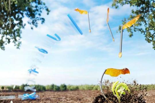 微型结节软体机器人：会跳会飞还能把种子“钻”进土里