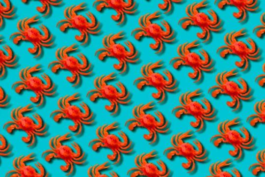 Meta收购AI代理社交网络Moltbook 创始团队将并入超级智能实验室