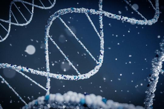 谷歌DeepMind发布AlphaGenome：AI解读“暗黑基因组”并提示DNA编辑潜在风险
