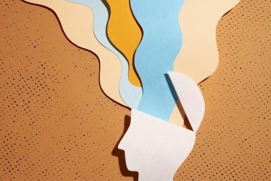 在数据时代重估直觉：企业决策中的“双轨思维”