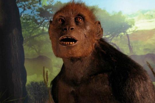 研究称700万年前萨赫勒猿具备早期陆地双足行走特征