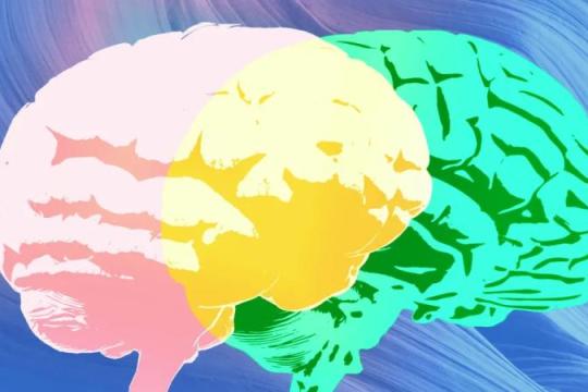 Grammarly新功能“专家评审”引发对专家参与程度质疑