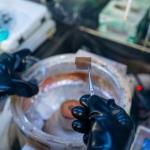 近乎完美对称的二维钙钛矿助力提升叠层太阳能电池效率