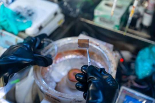 近乎完美对称的二维钙钛矿助力提升叠层太阳能电池效率