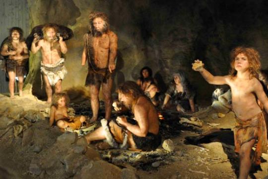 研究称波兰斯塔伊尼亚洞穴重建约10万年前尼安德特人小型社区
