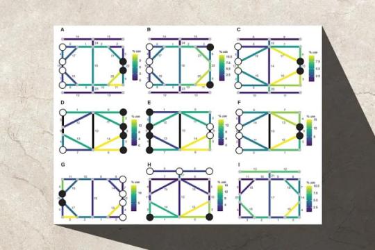 人工智能助力破解罗马时期神秘棋盘游戏玩法