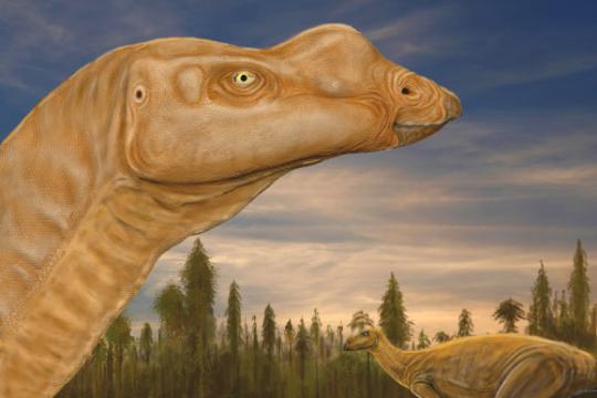 研究称澳大利亚大鼻草食恐龙或具“挑食”特征