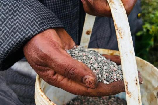 伊朗冲突扰动全球化肥供应 发展中国家粮食生产承压