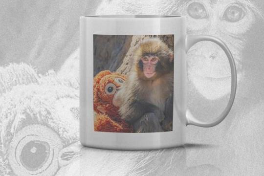 日本幼猴Punch走红网络 引发多平台周边商品热销