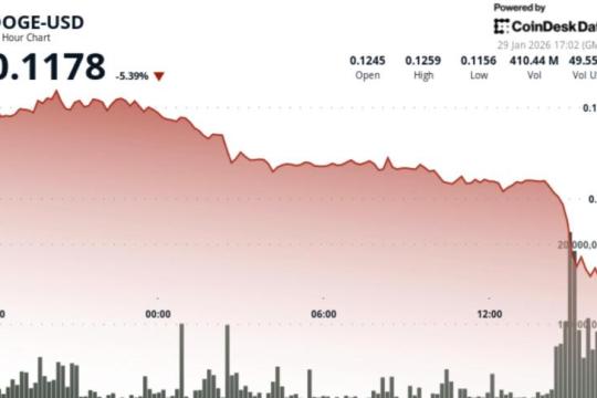 比特币回落引发风险规避，狗狗币下跌约7%拖累迷因币情绪