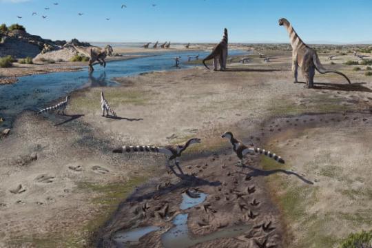 智利发现距今约1.6亿年恐龙足迹 刷新冈瓦纳西缘最古老纪录