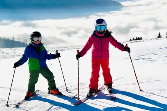 我在瑞士、澳大利亚和美国抚养三个孩子——每种文化都教会了我宝贵的育儿经验