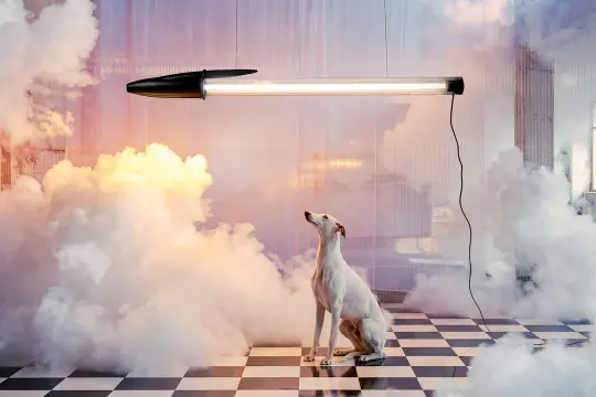 全球畅销钢笔Bic Cristal化身12:1巨型灯具